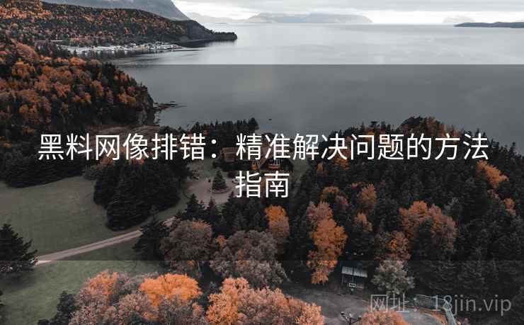 黑料网像排错:精准解决问题的方法指南